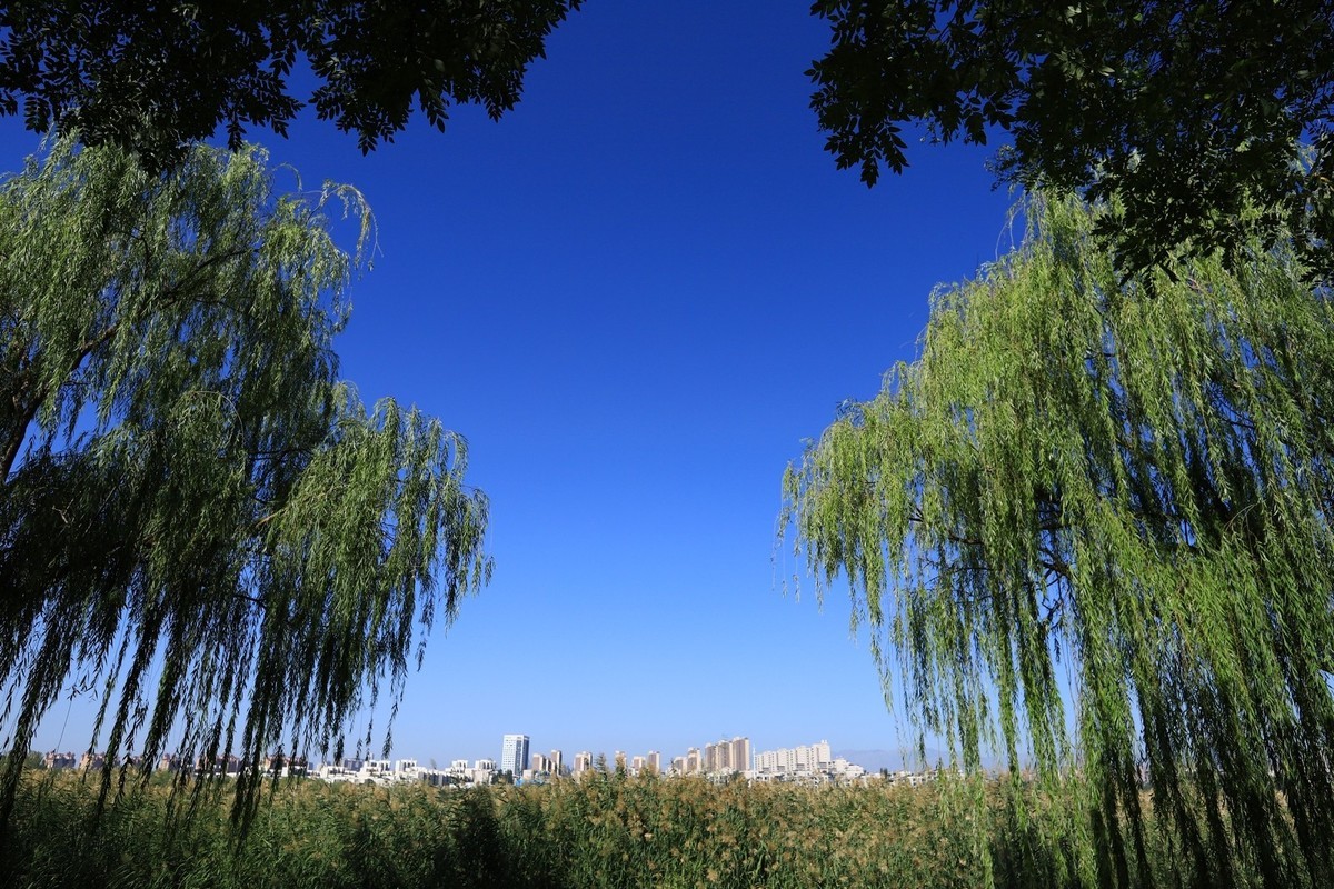 溜腿——溜机——溜乐趣（1）