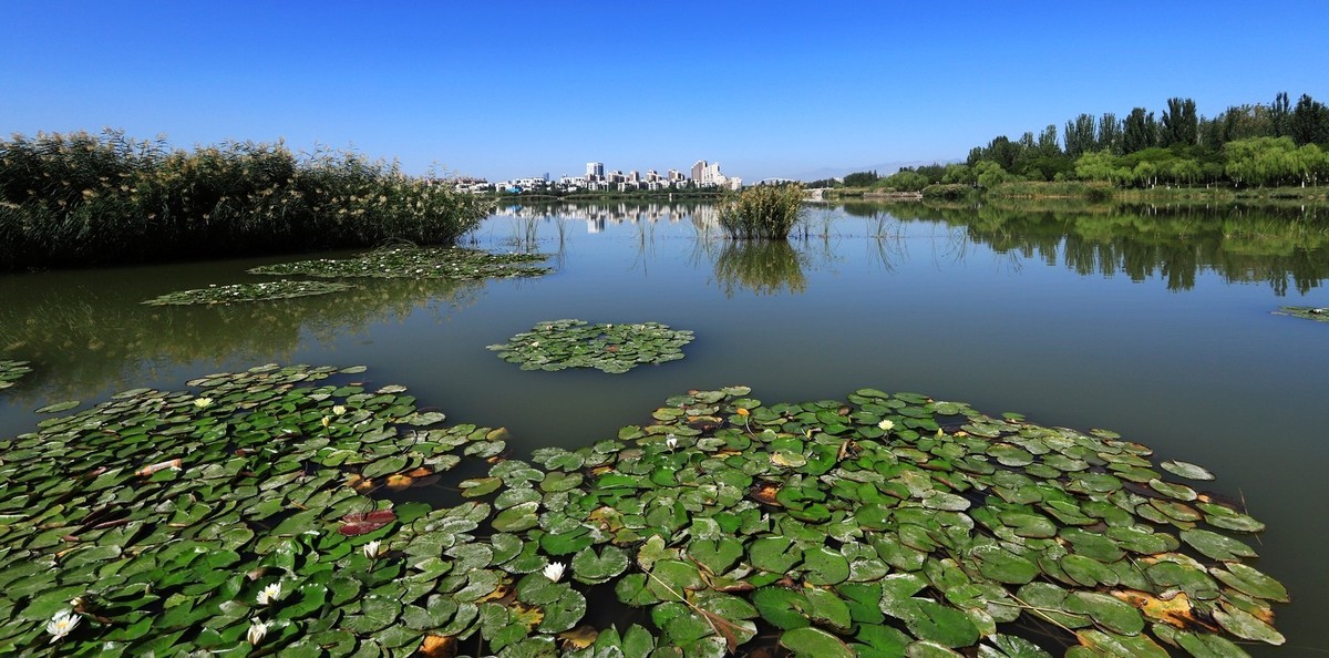 溜腿——溜机——溜乐趣（1）