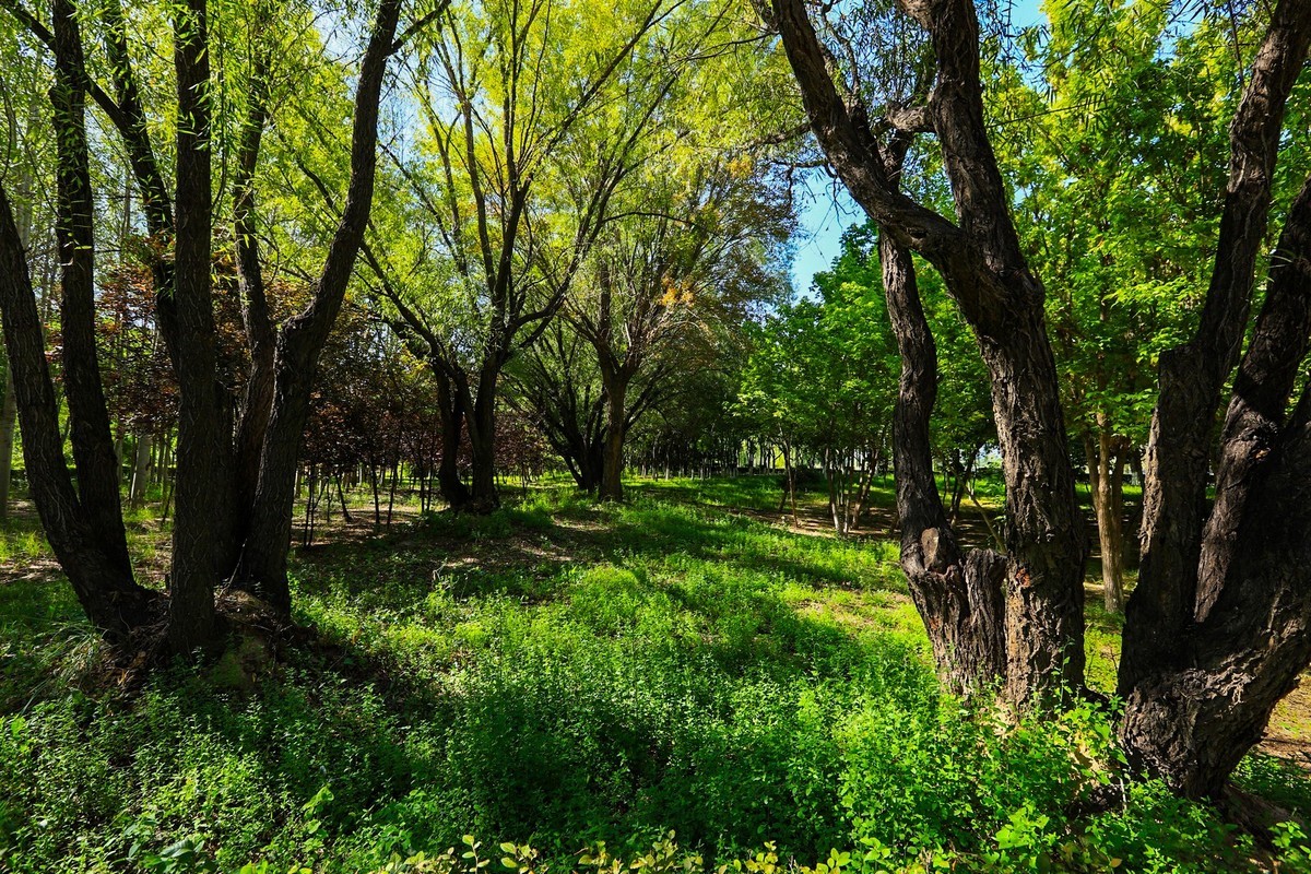 溜腿——溜机——溜乐趣（1）