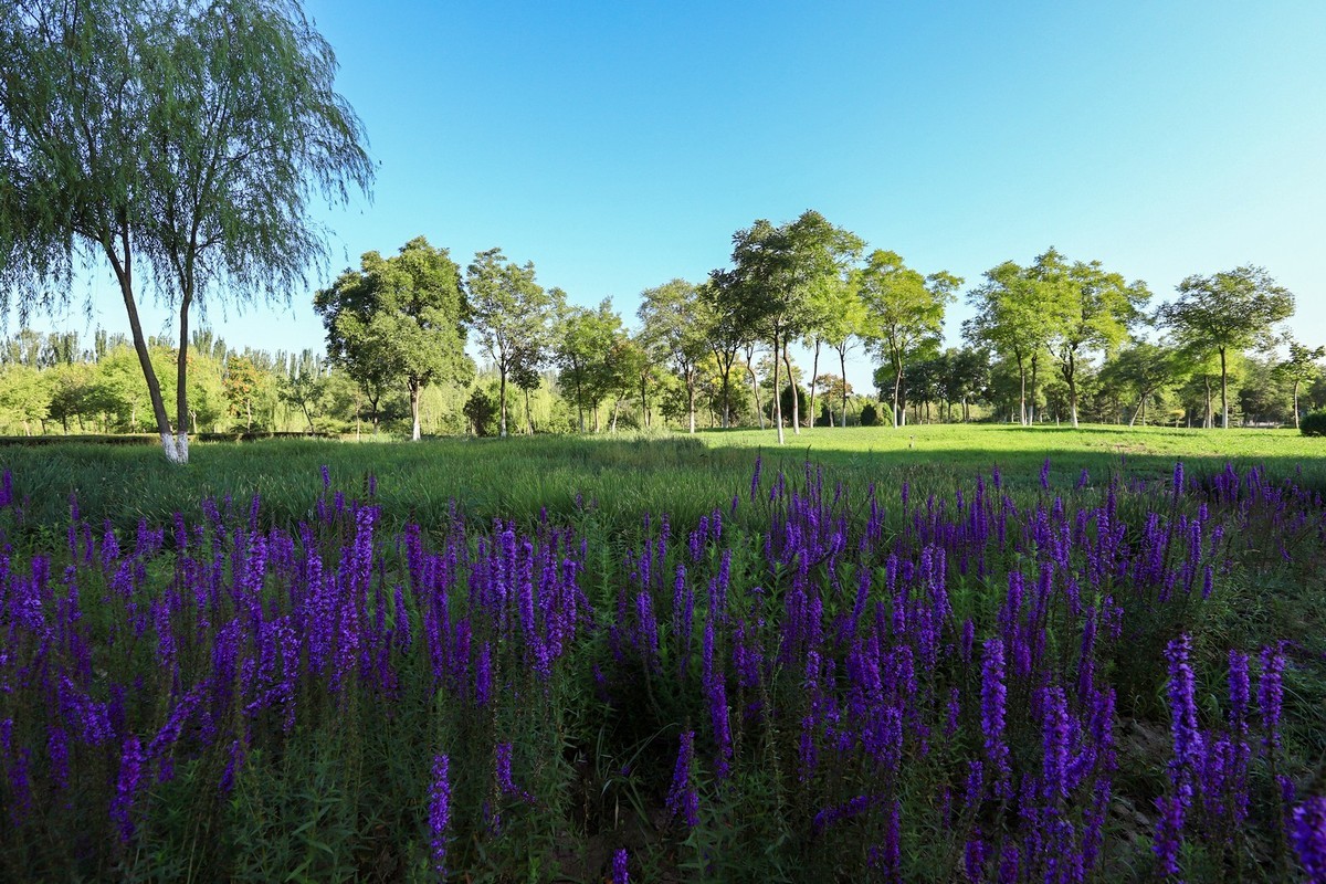 溜腿——溜机——溜乐趣（2）