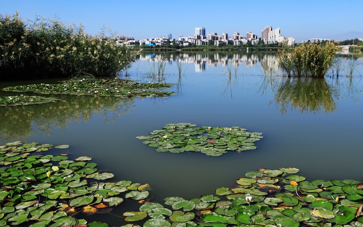 溜腿——溜机——溜乐趣（2）