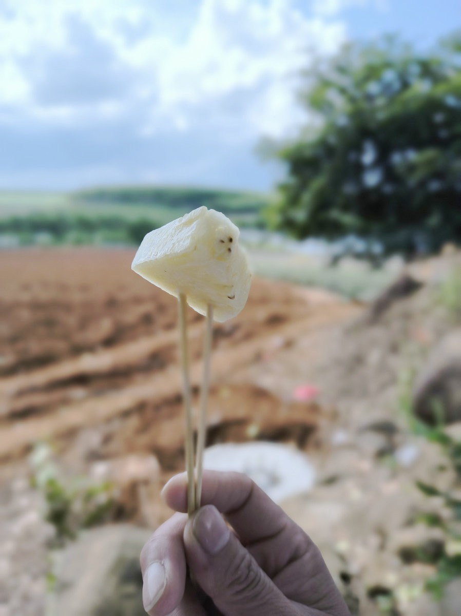 2024夏 海南环岛行（25）粤海铁路轮渡