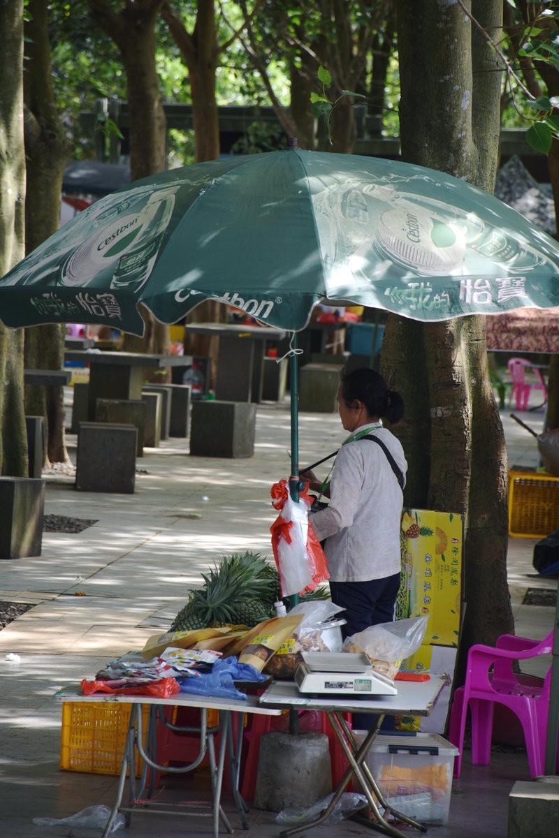 2024夏 海南环岛行（25）粤海铁路轮渡