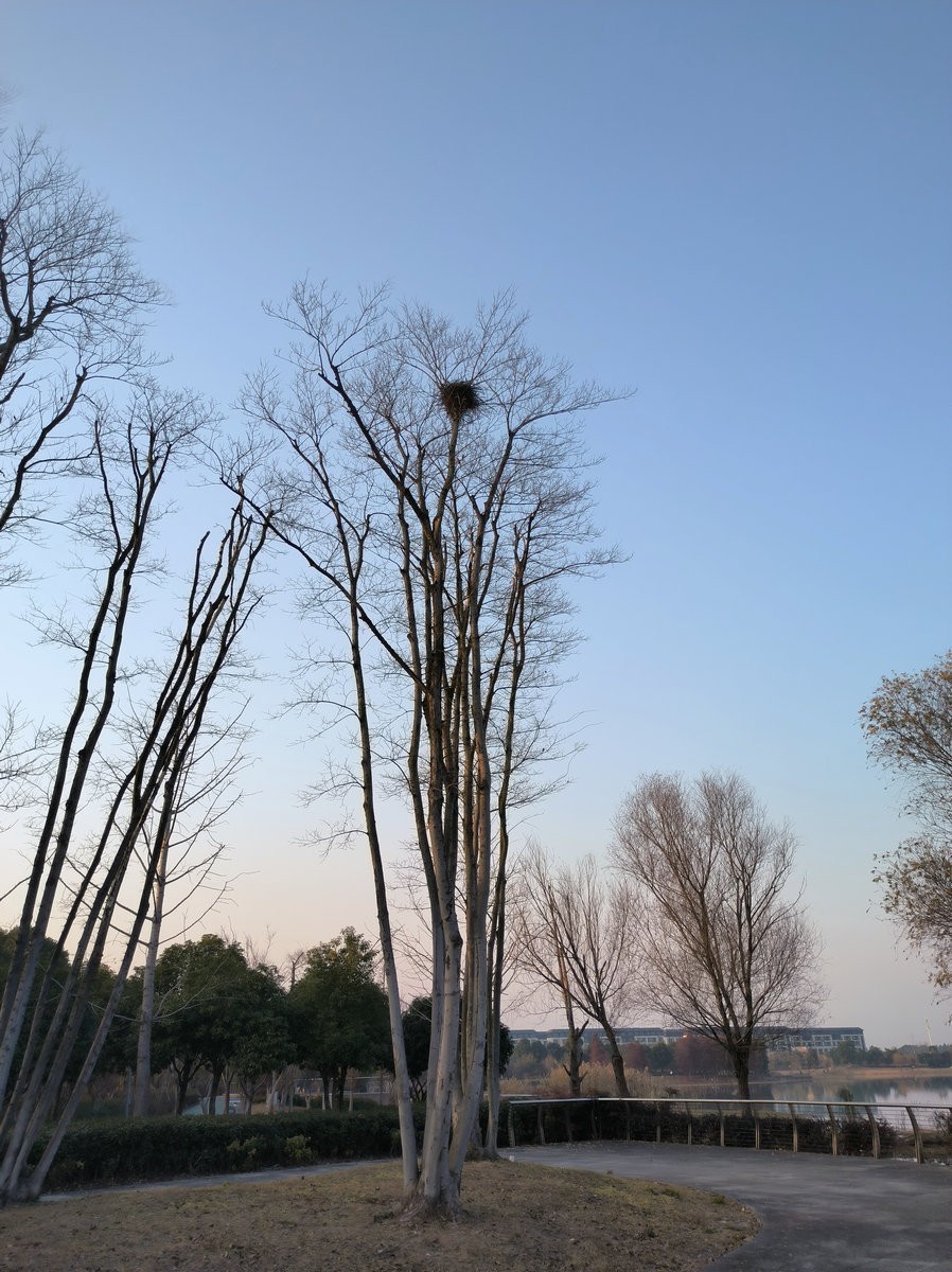 漫步星城 走街串巷（612）大小湖