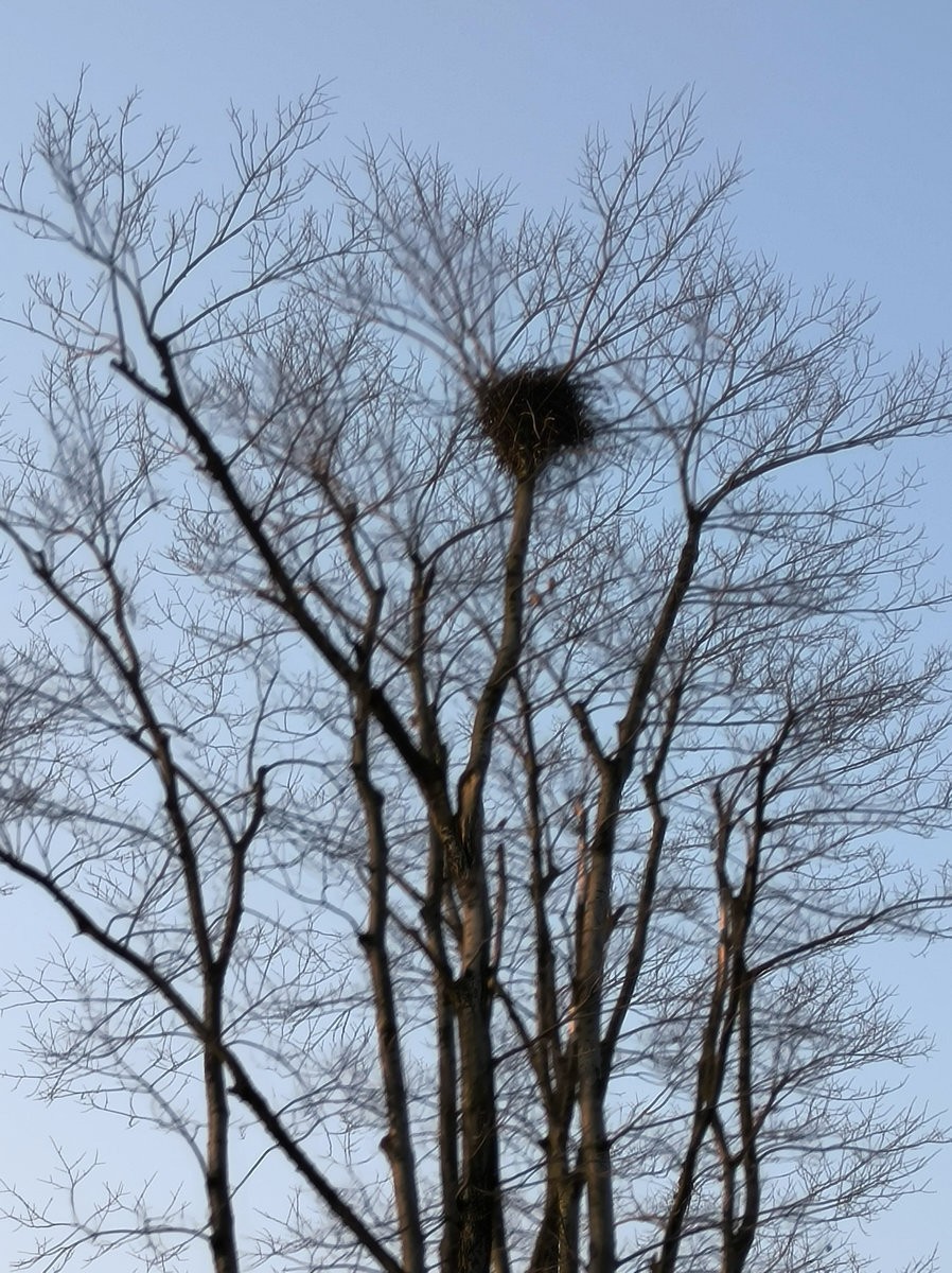 漫步星城 走街串巷（612）大小湖