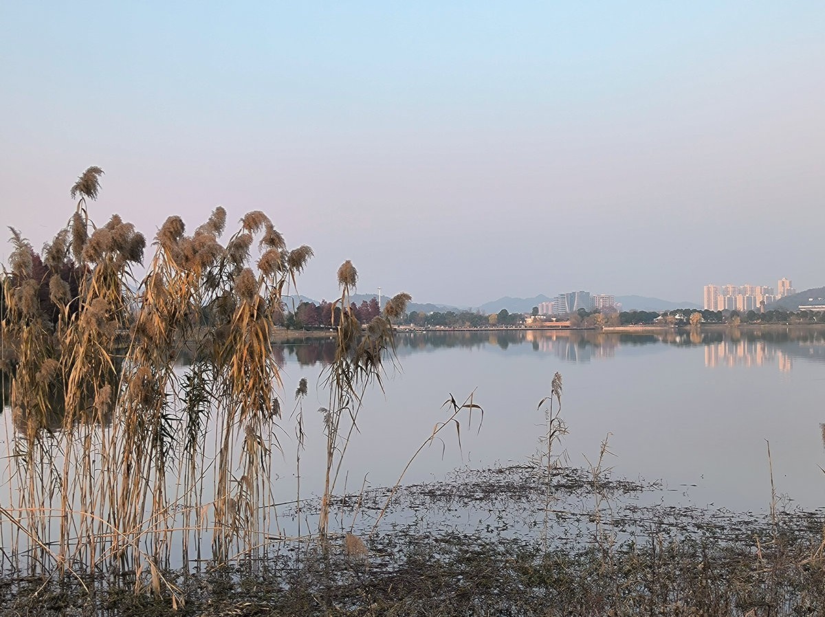 漫步星城 走街串巷（612）大小湖