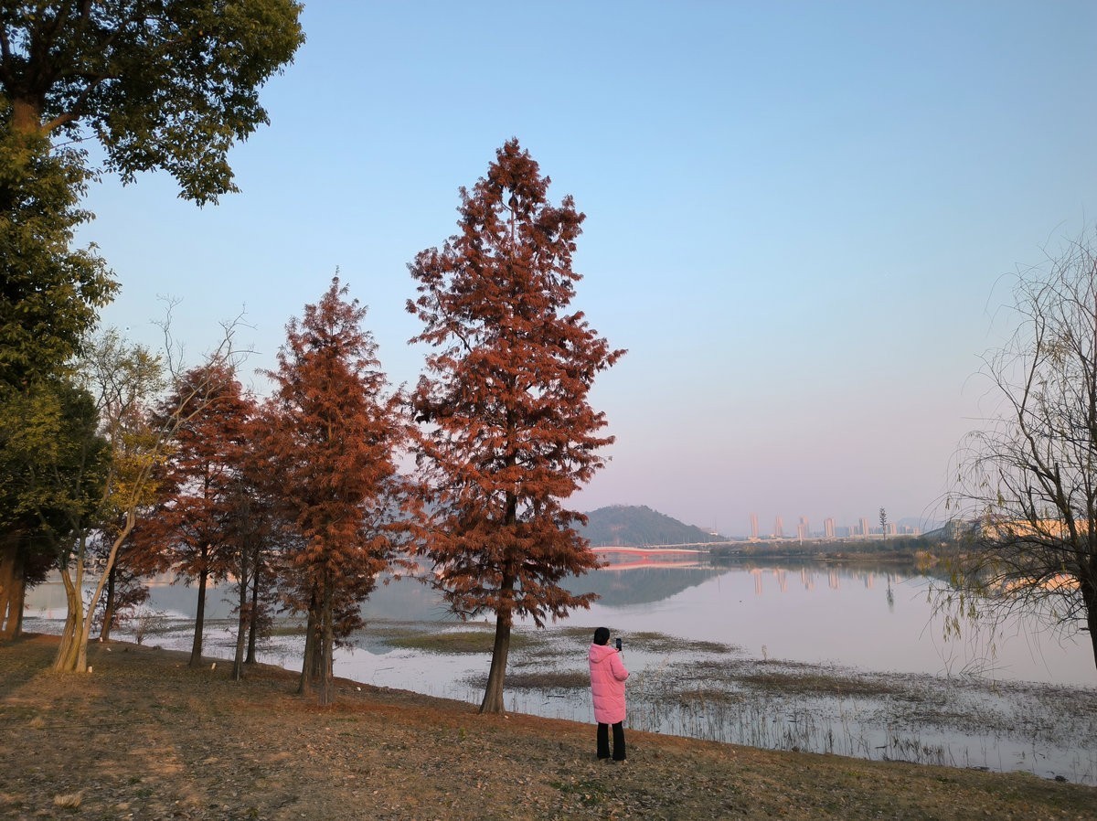 漫步星城 走街串巷（613）自然山水