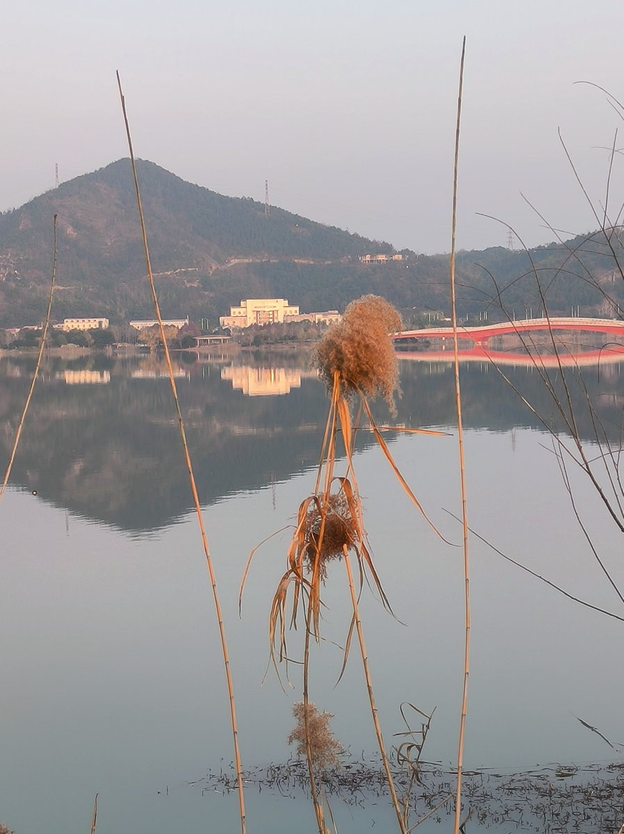 漫步星城 走街串巷（613）自然山水