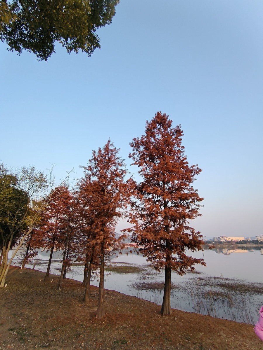 漫步星城 走街串巷（613）自然山水