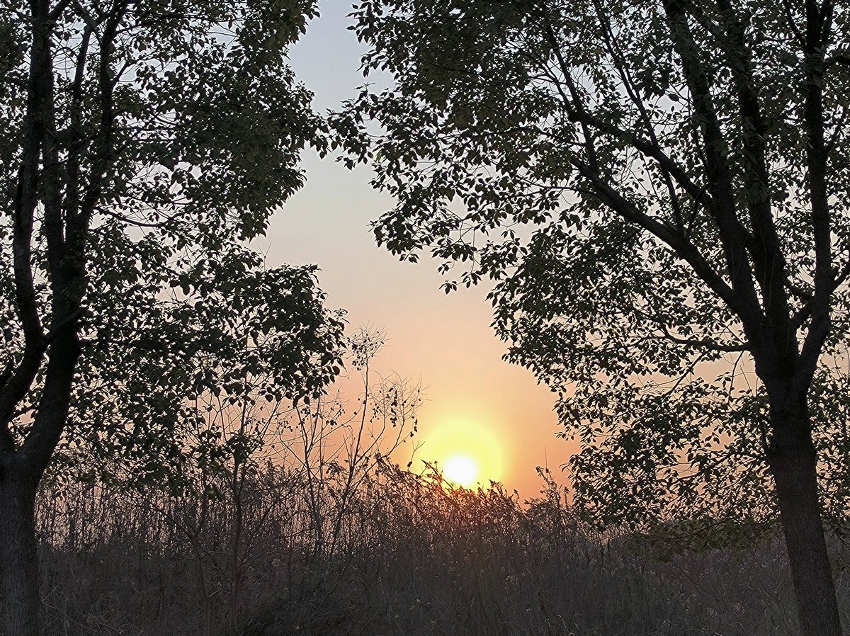 漫步星城 走街串巷（613）自然山水