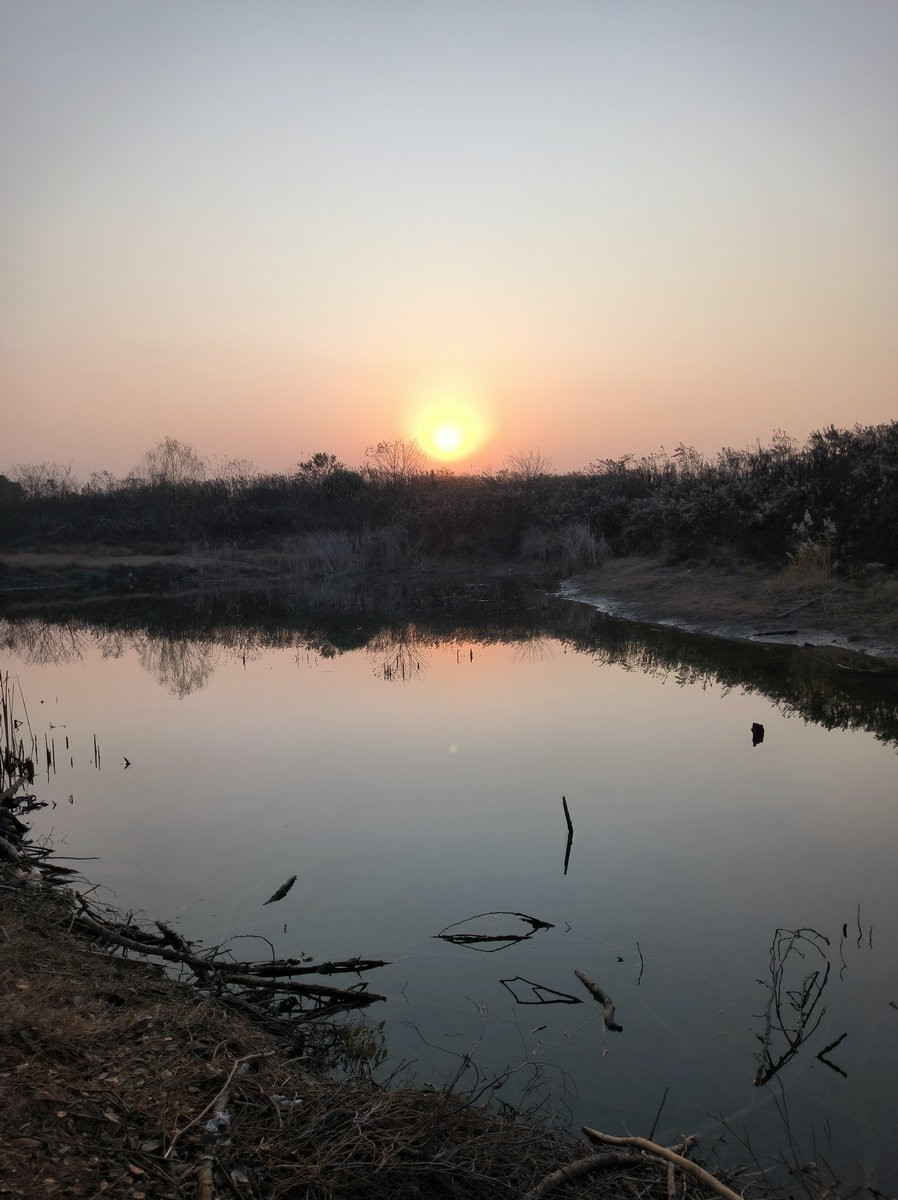 漫步星城 走街串巷（614）双健路