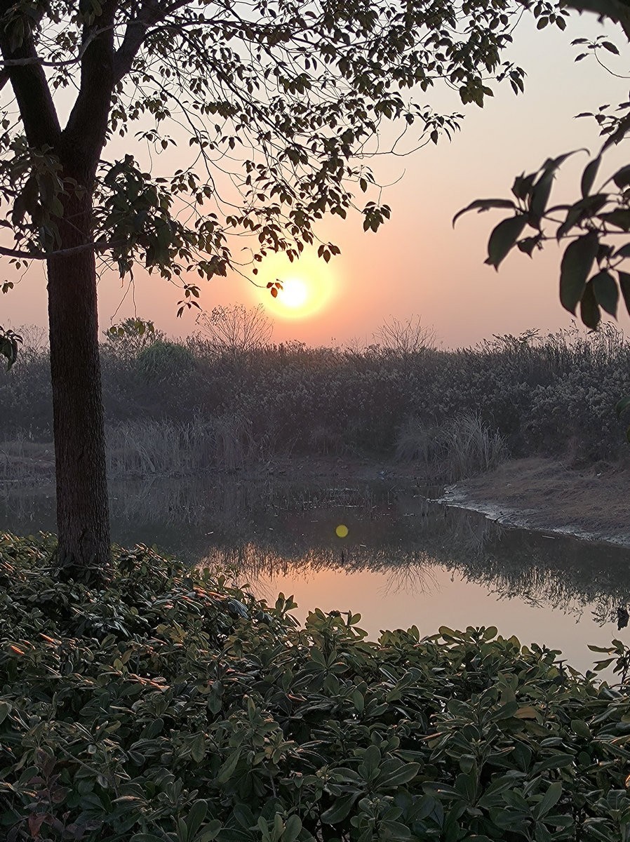 漫步星城 走街串巷（614）双健路