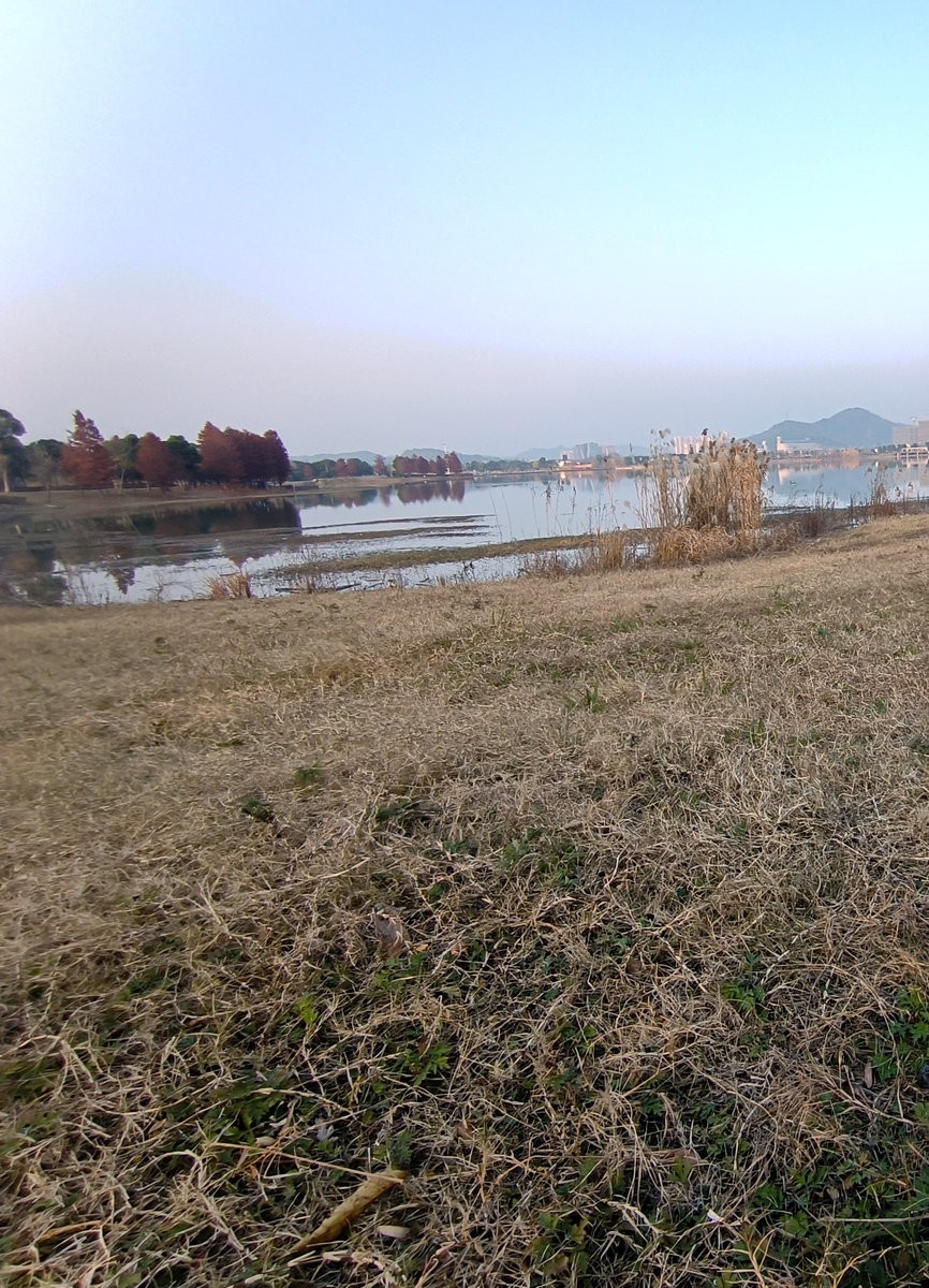 漫步星城 走街串巷（614）双健路