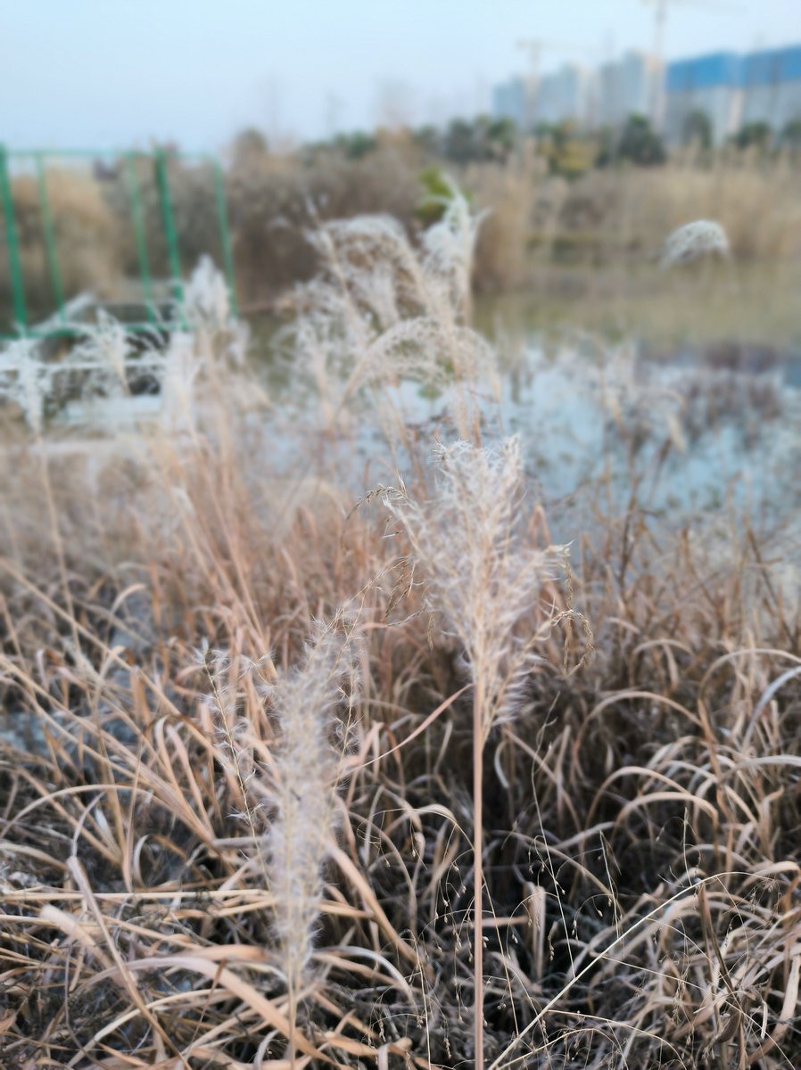 漫步星城 走街串巷（614）双健路