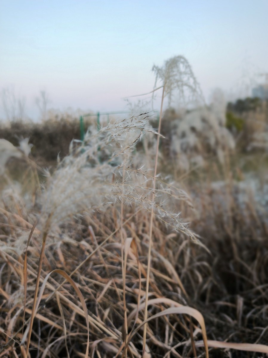 漫步星城 走街串巷（614）双健路