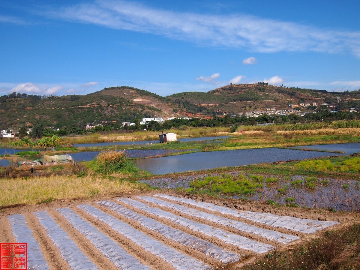 2023建水所见（20）