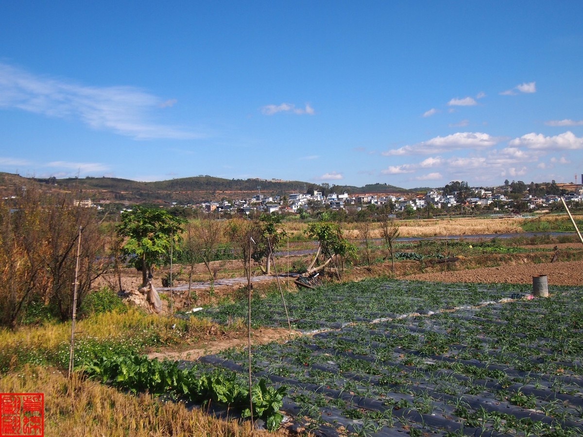 2023建水所见（20）