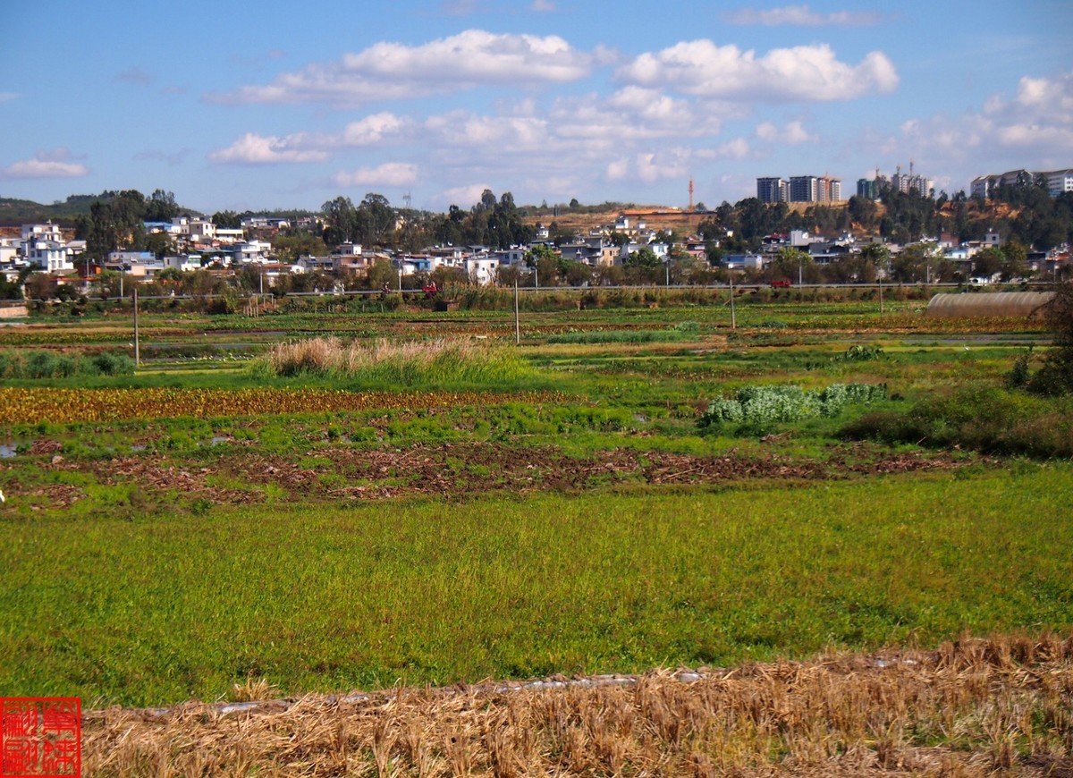 2023建水所见（20）