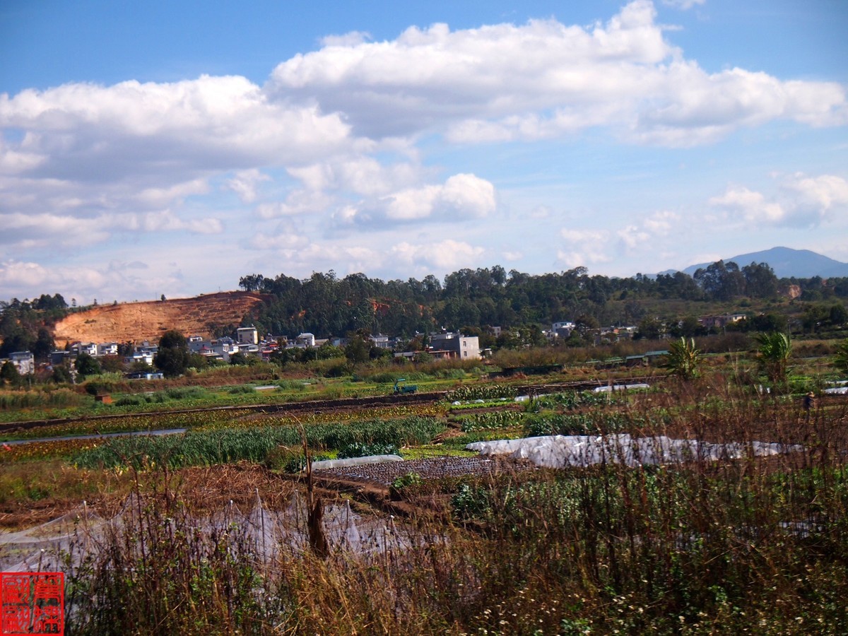 2023建水所见（20）