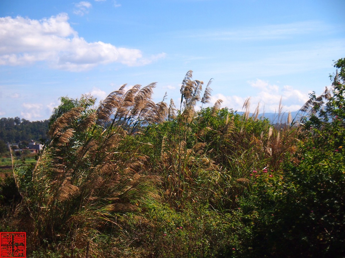 2023建水所见（20）