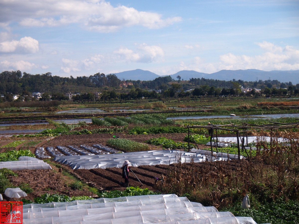 2023建水所见（20）