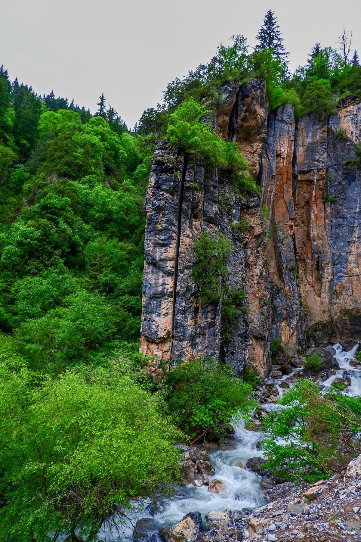 我只是把出去看到的随手记录下来（116）