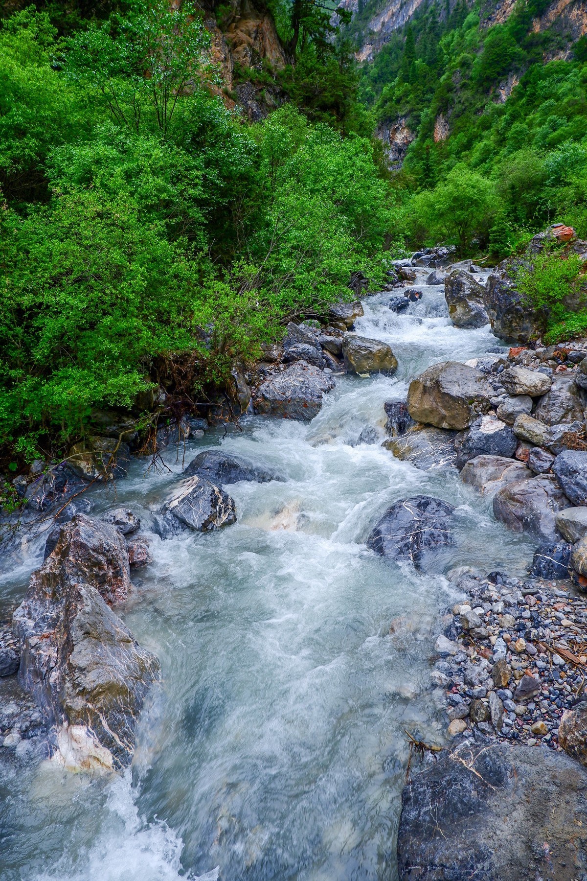 我只是把出去看到的随手记录下来（116）