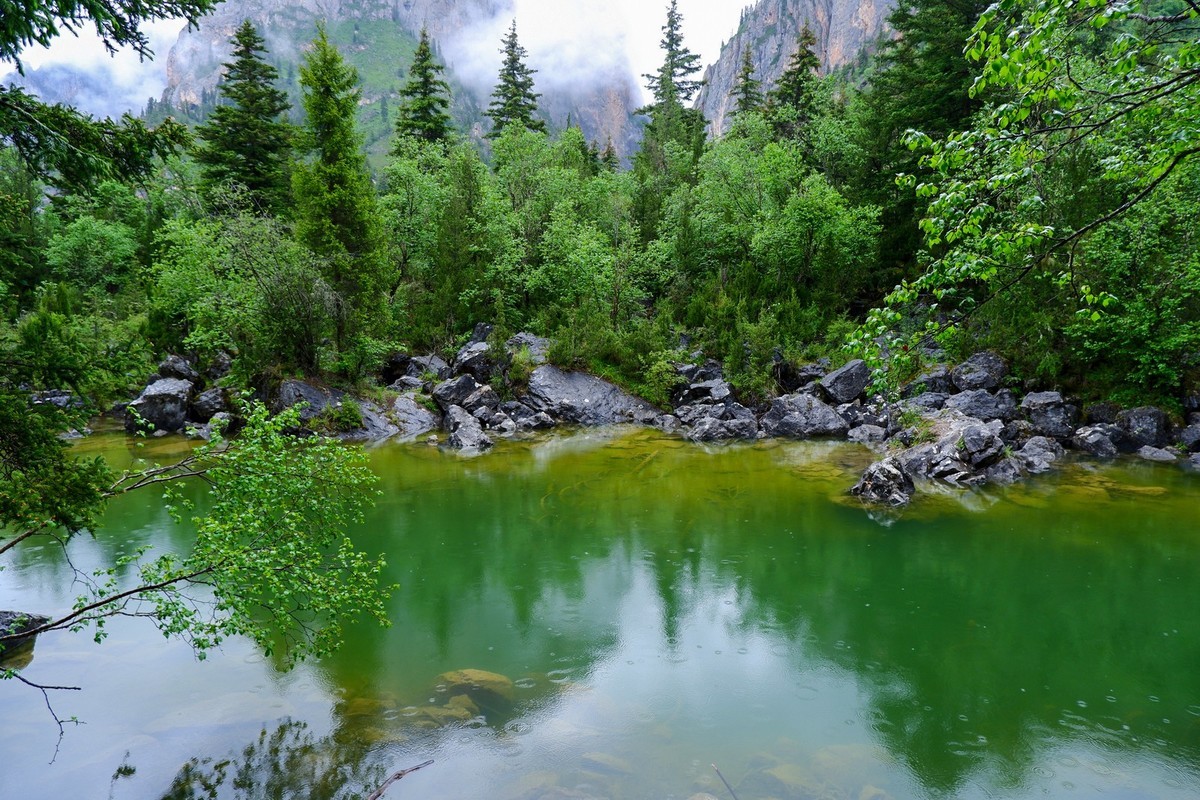 我只是把出去看到的随手记录下来（116）