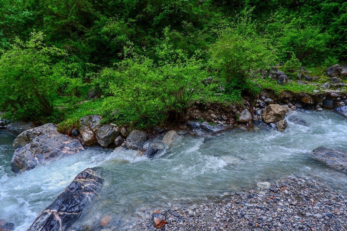 我只是把出去看到的随手记录下来（116）