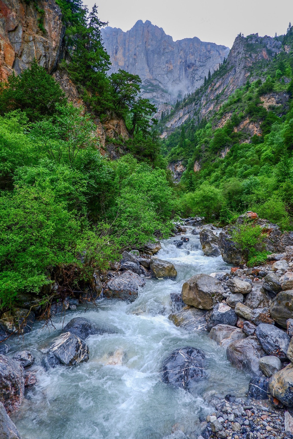 我只是把出去看到的随手记录下来（116）