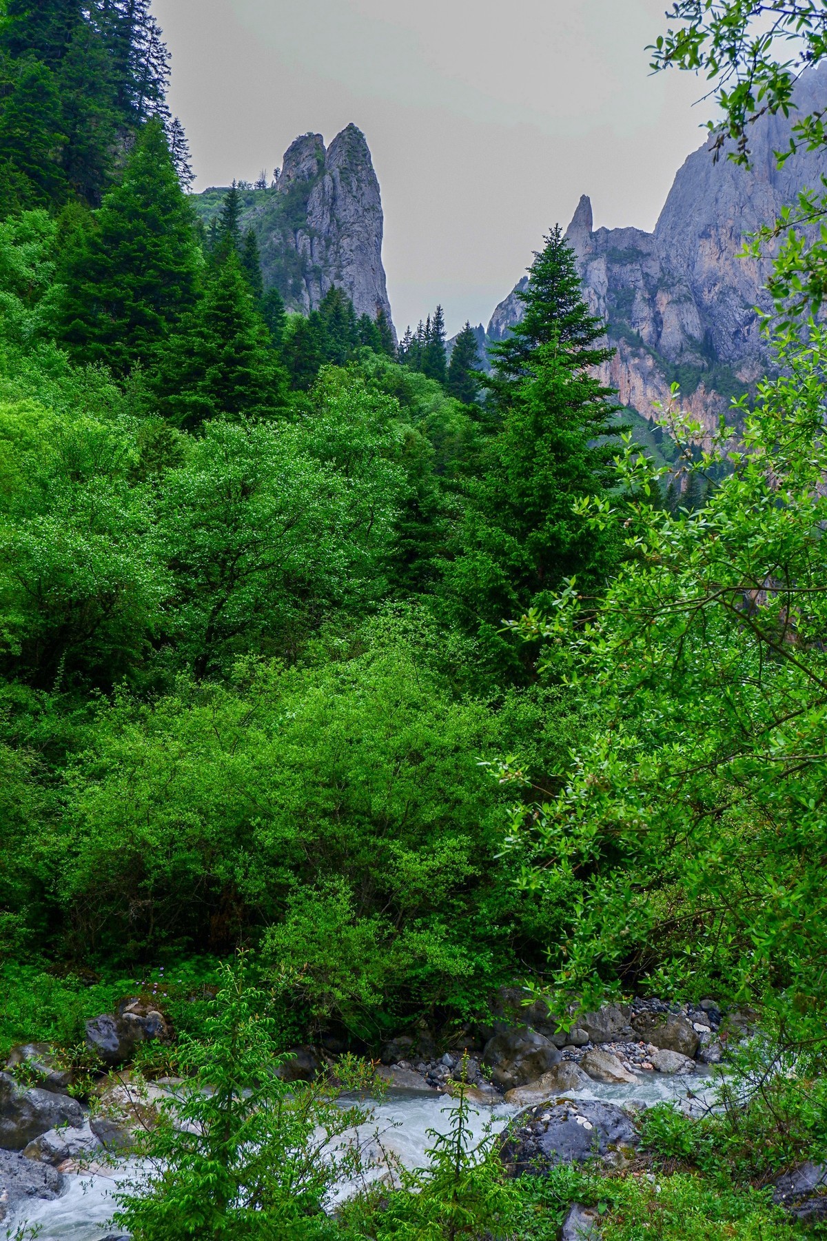 我只是把出去看到的随手记录下来（116）