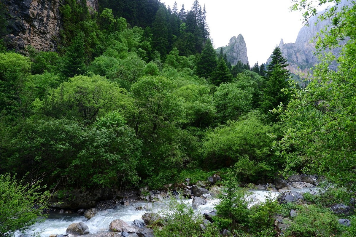 我只是把出去看到的随手记录下来（116）