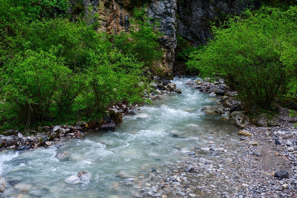 我只是把出去看到的随手记录下来（116）