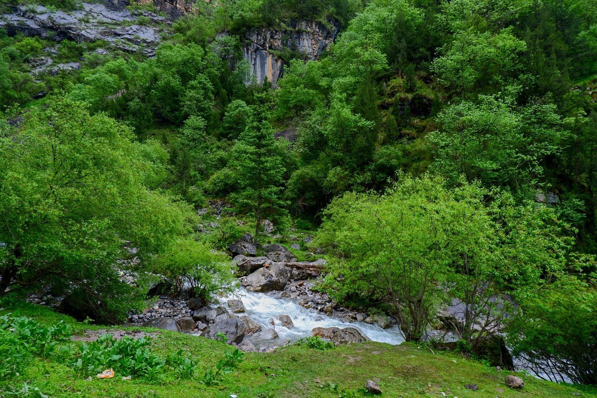 我只是把出去看到的随手记录下来（116）