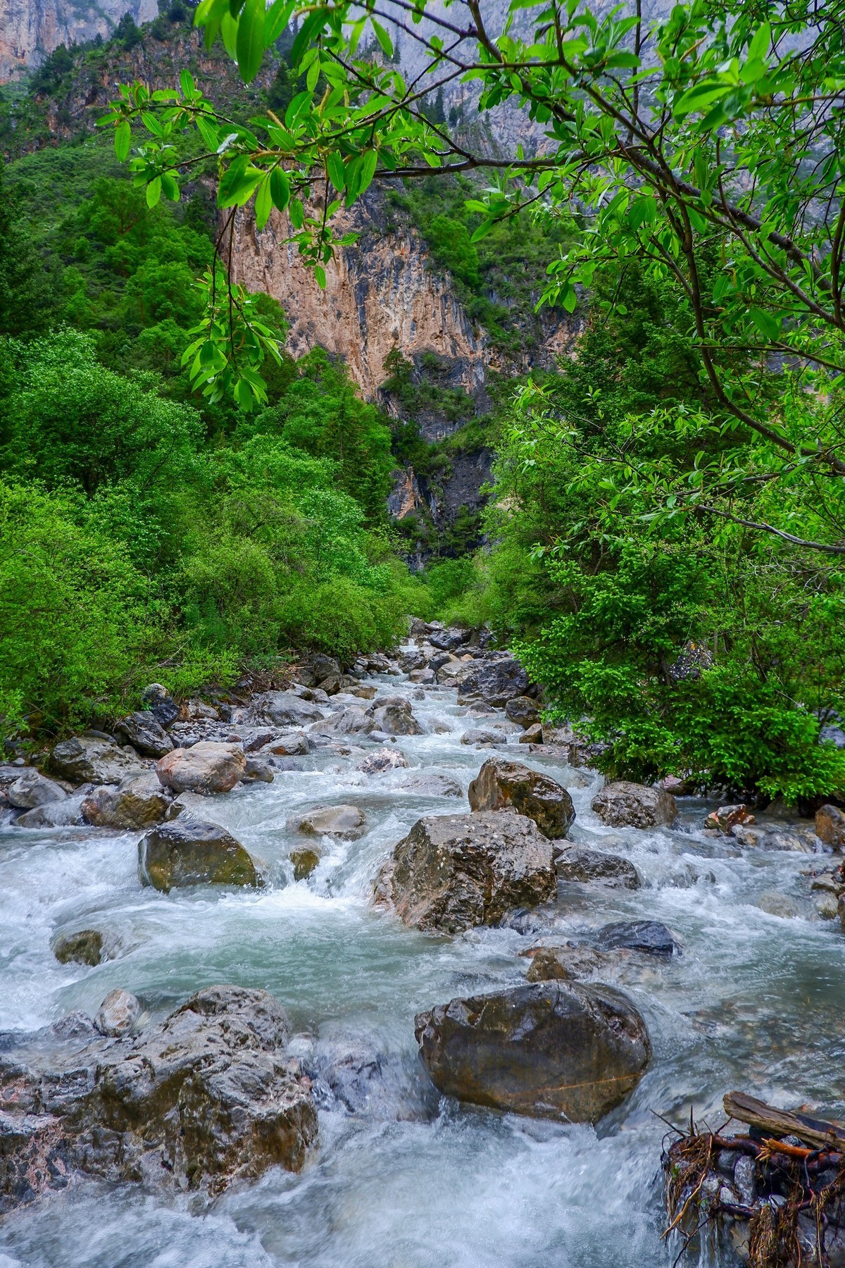 我只是把出去看到的随手记录下来（116）
