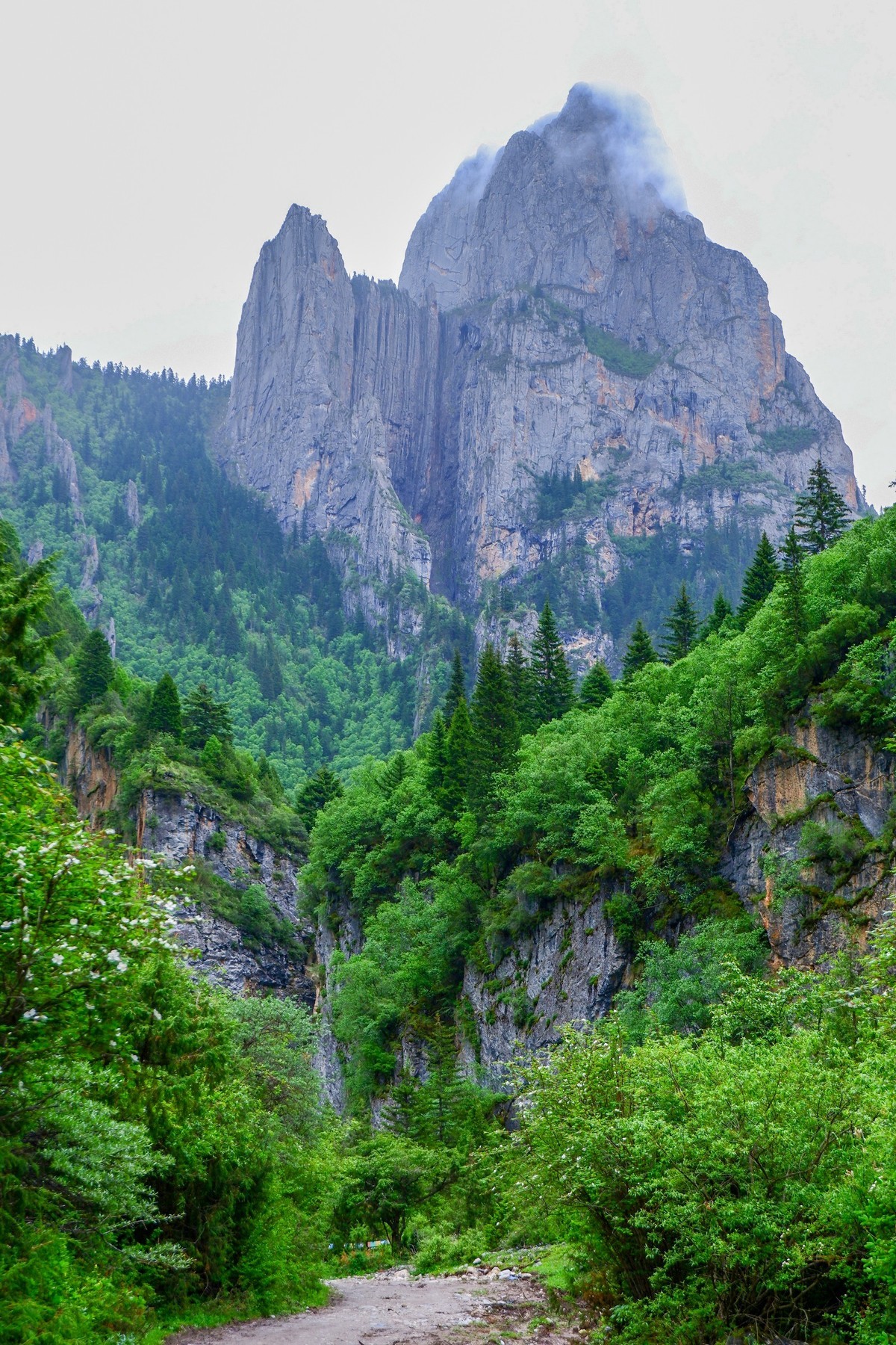 我只是把出去看到的随手记录下来（116）