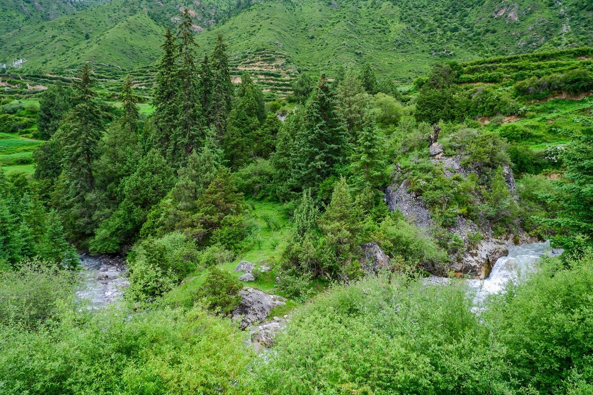 我只是把出去看到的随手记录下来（116）