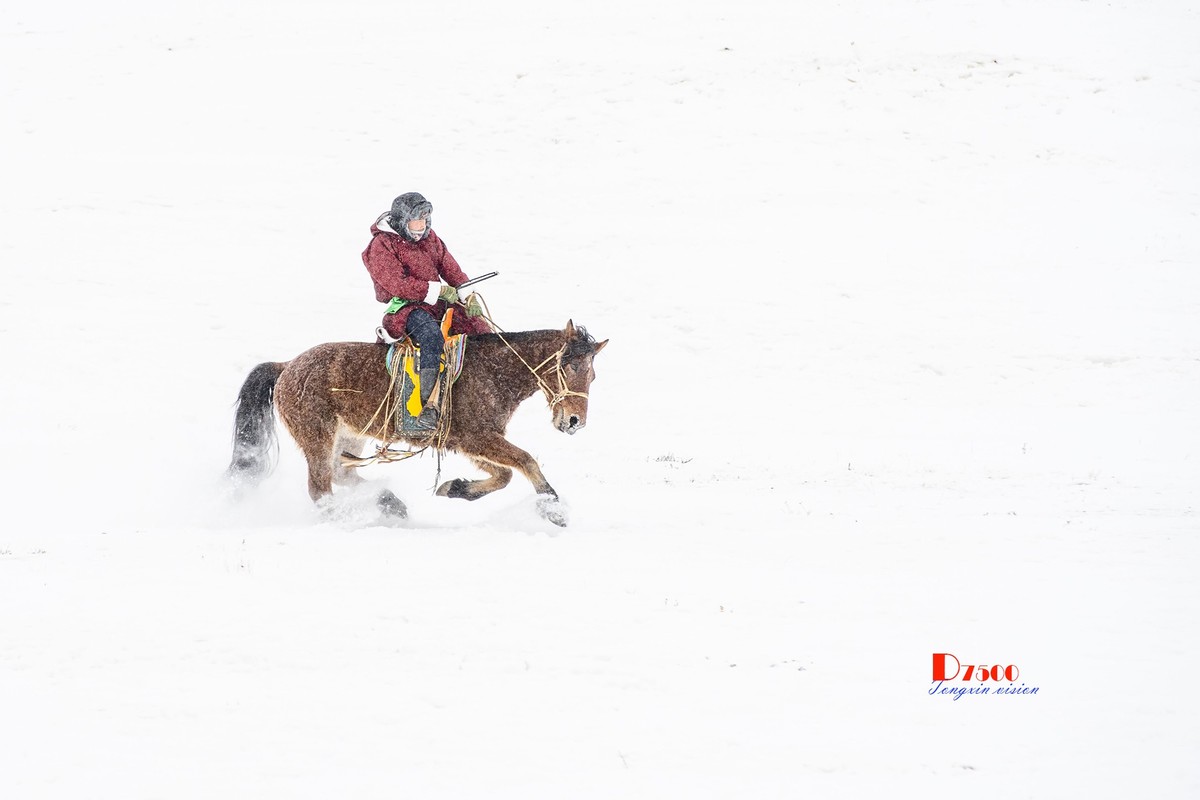 快乐的牧马人（53）