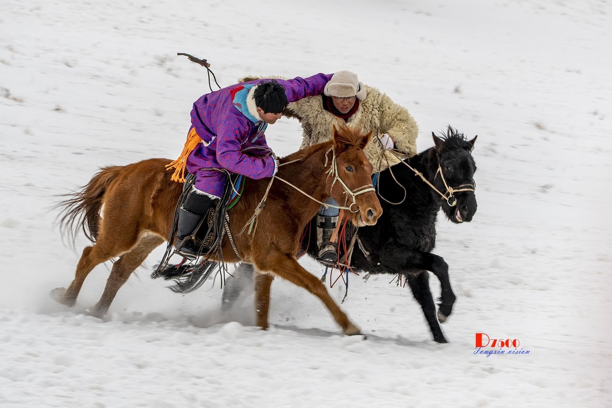 快乐的牧马人（53）