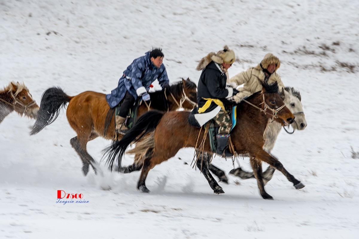 快乐的牧马人（53）