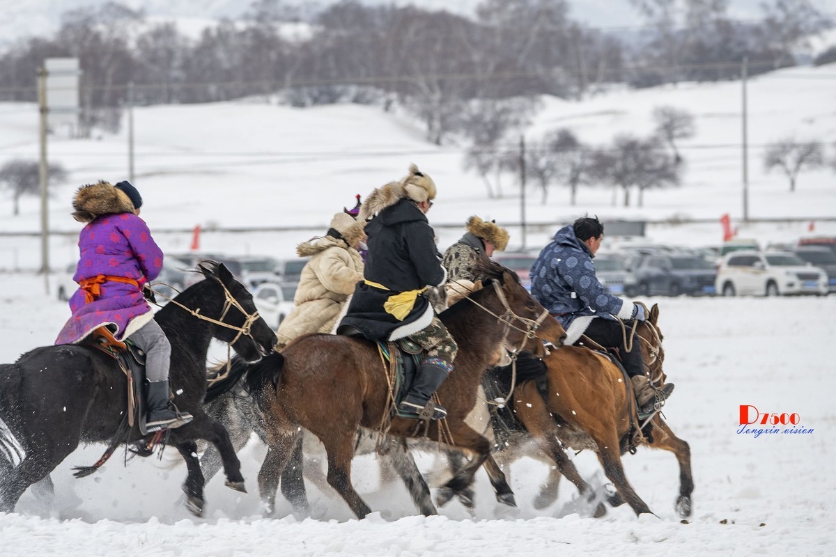 快乐的牧马人（53）