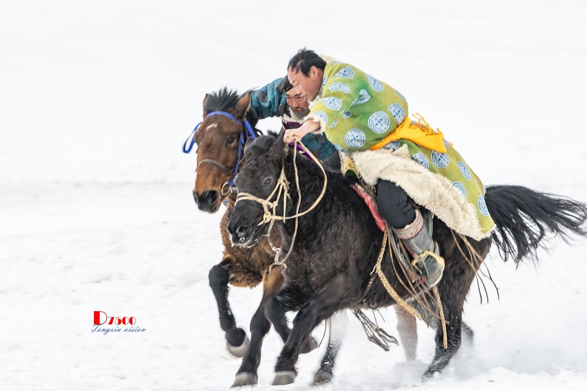 快乐的牧马人（53）