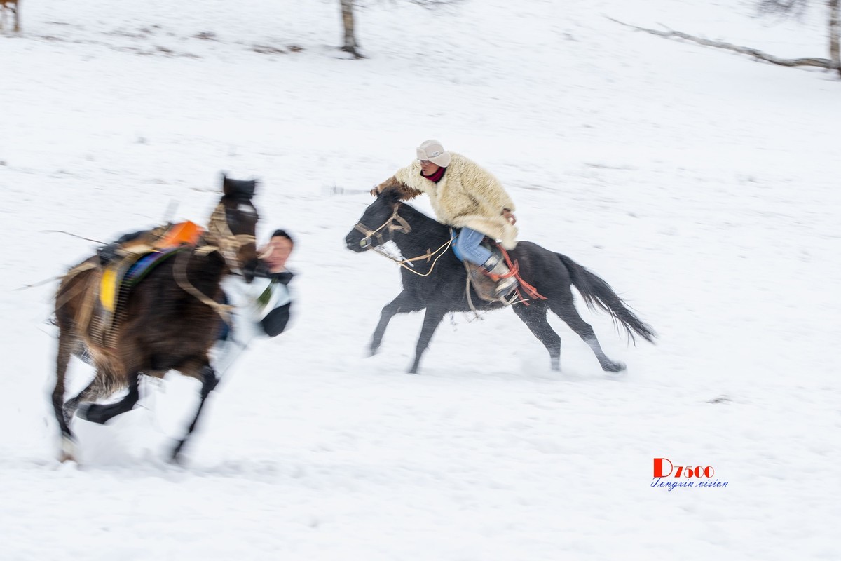 快乐的牧马人（53）