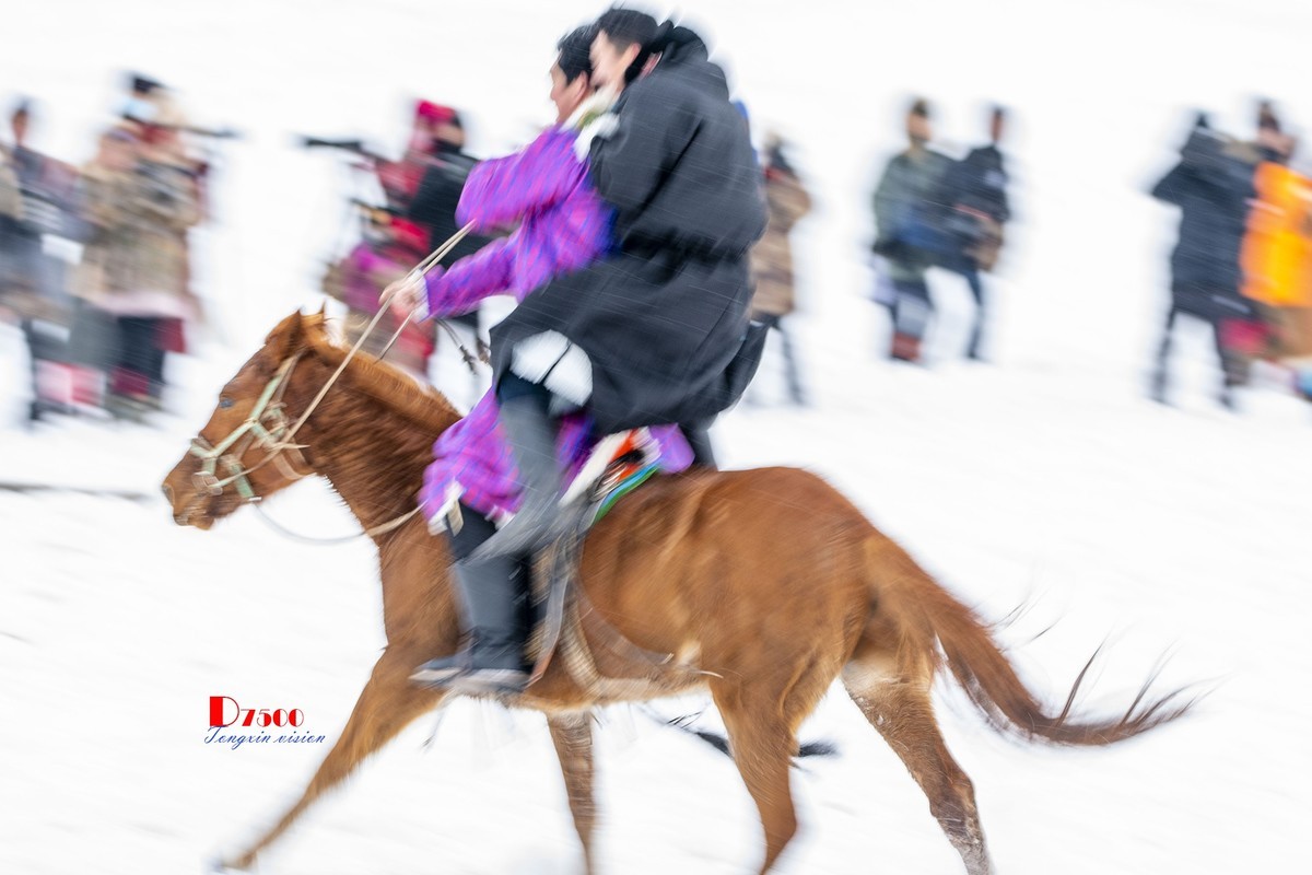 快乐的牧马人（53）