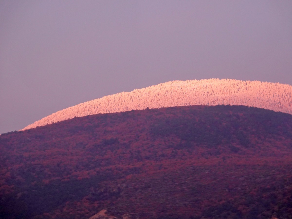 跟团游土耳其--安卡拉国父纪念馆士兵换岗