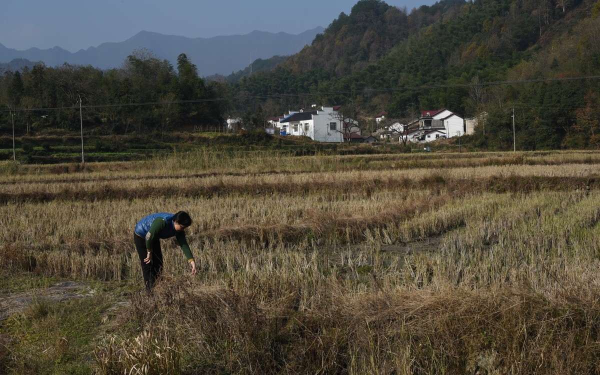 策马越桃岭--皖南川藏线纪行