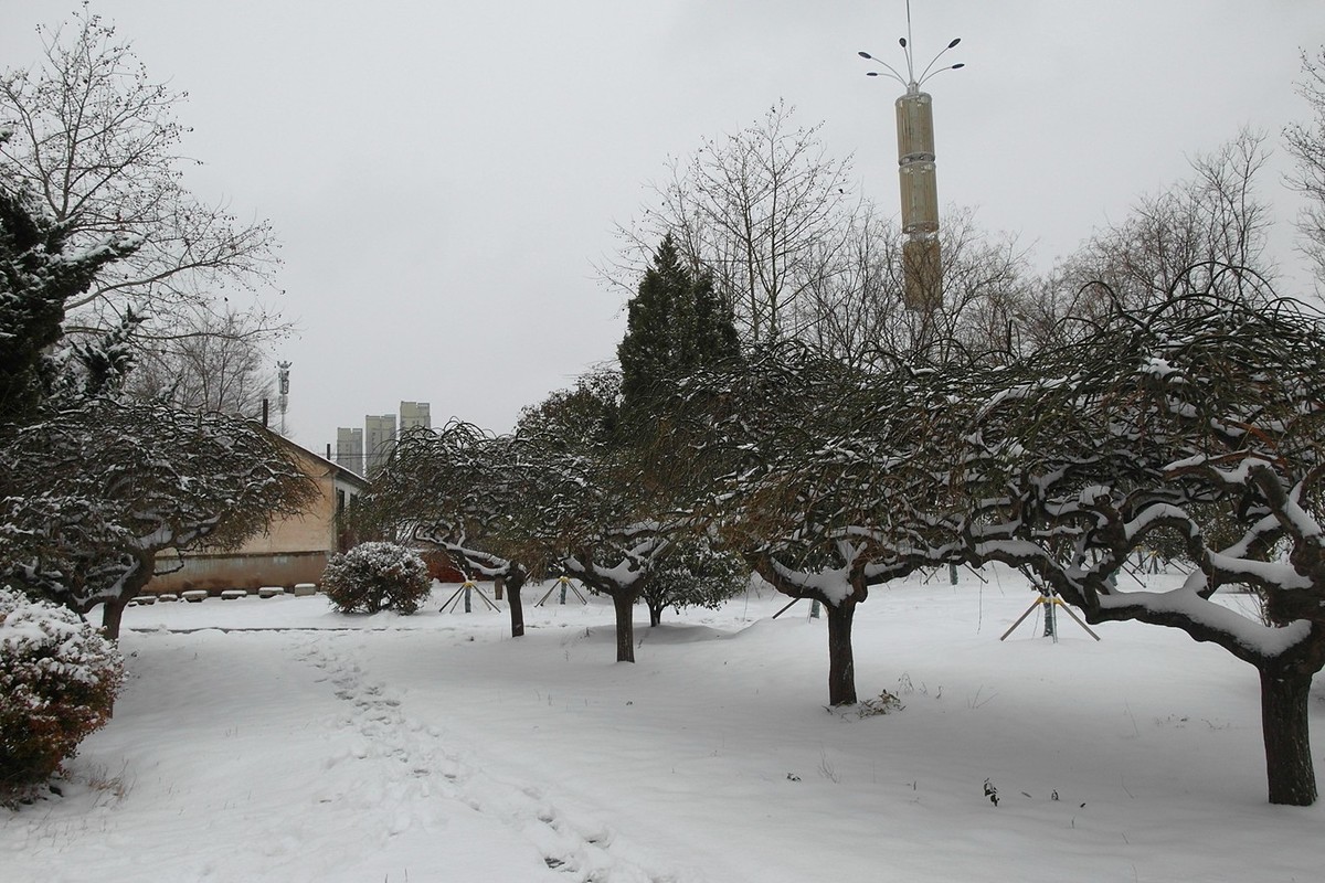 2020第二场雪-续15P