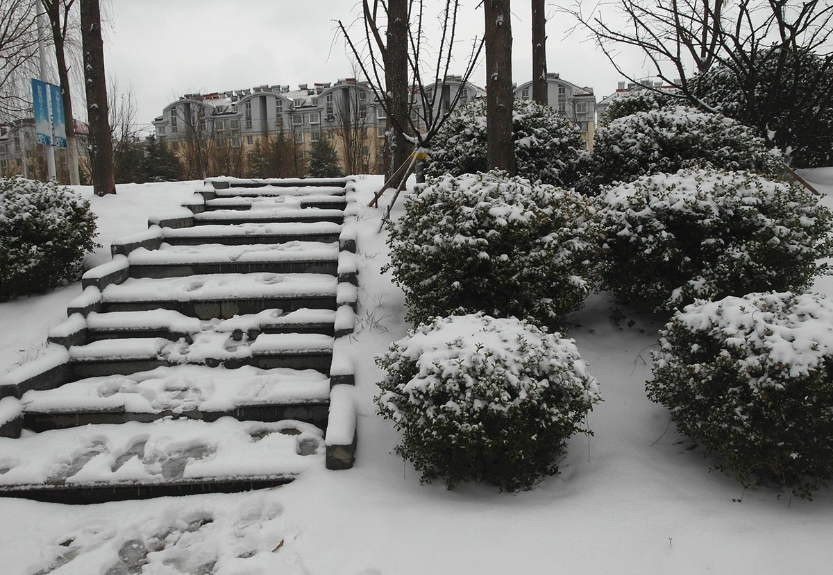 2020第二场雪-续15P