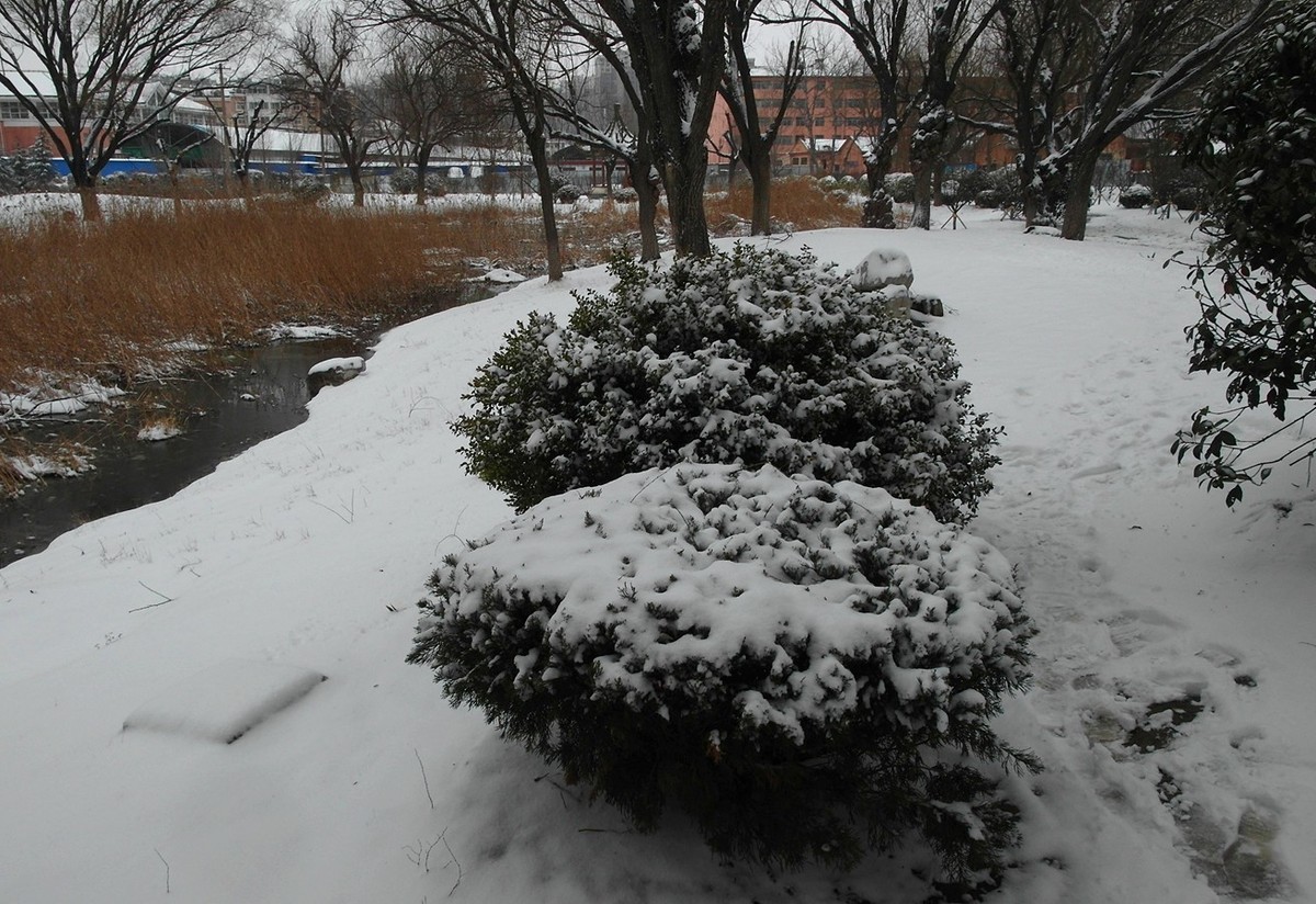 2020第二场雪-续15P