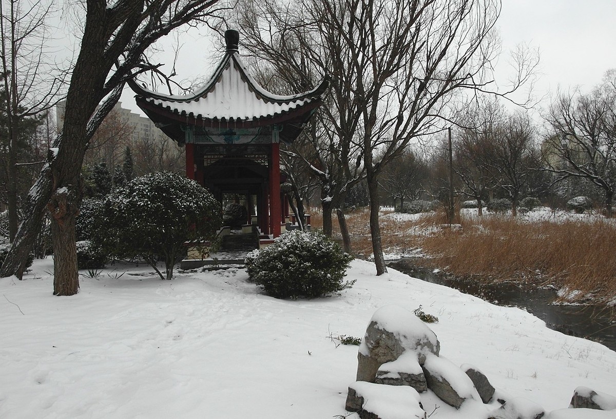 2020第二场雪-续15P